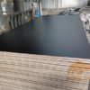 100% baltic birch plywood phenolic glue russian birch Deck 350 Film faced Plywood - Image 3