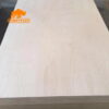 100% baltic birch plywood phenolic glue russian birch Deck 350 Film faced Plywood - Image 5