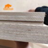 100% baltic birch plywood phenolic glue russian birch Deck 350 Film faced Plywood - Image 6